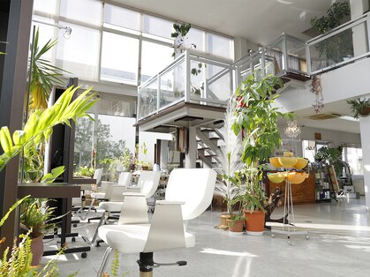 ハイカラサン 牛久店(Haikarasan)の写真