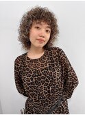 ハードパーマアフロハイライトミディアム