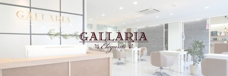 ガレリア エレガンテ 春日井店(GALLARIA Elegante)のサロンヘッダー