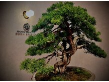 ボーンブライト(born bright)