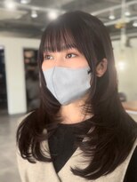 ホリー(HOLLY)&nbsp;バタフライレイヤー