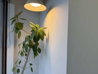 culuの写真