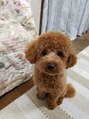 リミックス(REMIX by Love hair KING OF PRINCESS HAIR&EXTENTION) 娘が可愛くてしかたない。。