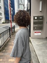 アペット(Appet)&nbsp;ショートボブminiアフロ