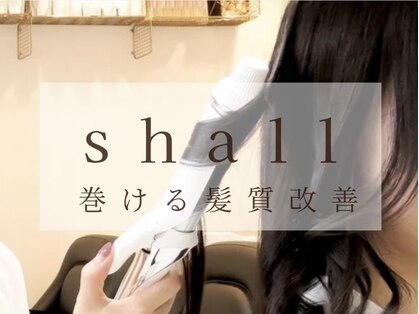 シャール(shall)の写真