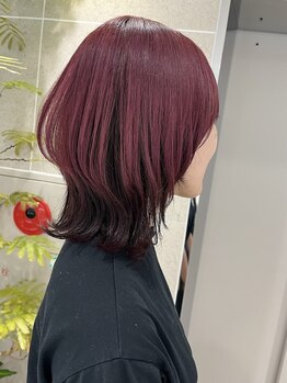 クララ ヒロシマセカンドフロア(CLALA Hiroshima 2nd floor)の写真/経験豊富なスタイリストがあなたの髪質や理想に合わせてご提案します！仕上がりに満足する事間違いなし♪