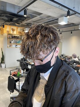 レオン(Re:ON) mesh × parm