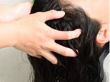 カレアレア(Karearea)