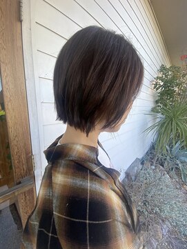 ファンビリ(Fambilly) mini bob