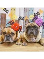 セヴィ(C Vie)&nbsp;看板犬　ココ　プリンです