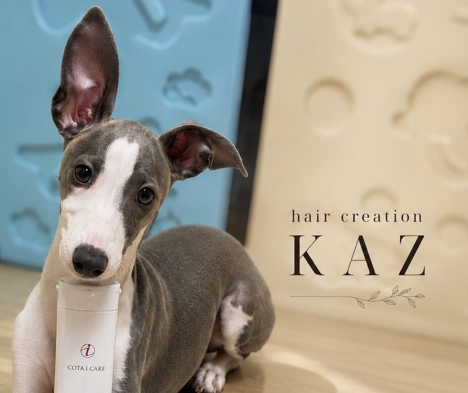 ヘアクリエイション カズ(HAIR CREATION KAZ)｜ホットペッパービューティー