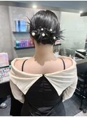 カチモリスタイル