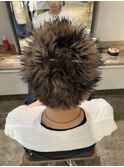 スパイキーショートエンドカラーデザイン