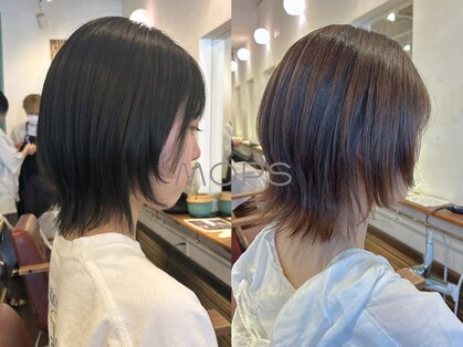 モップス 金沢文庫店(MOPS)の写真