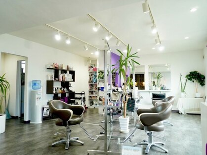 シムク(shi mu ku)の写真