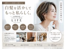 ライフ 野々市(LIFE)