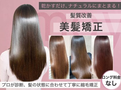 モイ(moy)の写真