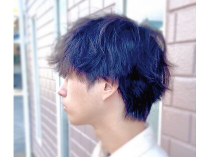 ココモ(cocomo)の写真