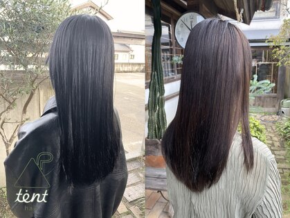 テントヘアー(tent hair)の写真