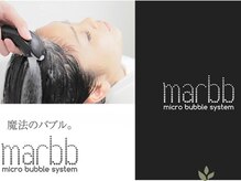 ワンランク上の、美髪体験を。「marbb（マイクロバブルシステム）」導入サロン