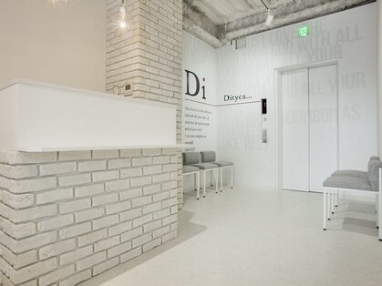 ディティカ ティア(Dityca tia)の写真