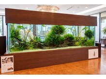 ファーレンピュアスウィート(fahren-pure-suite)の雰囲気（店内には水槽があり熱帯魚を見ながらの癒し空間となっております）