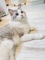 ニスル センター南店(NISURU）&nbsp;猫が好きです。