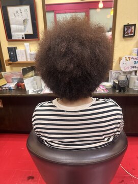 ガラ(GALA) アフロ