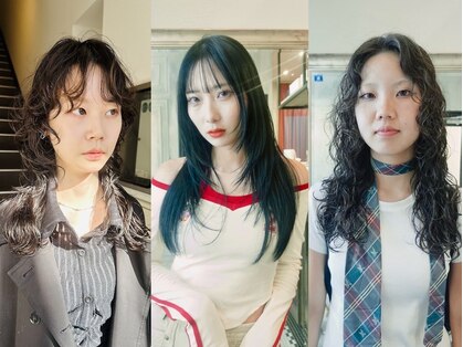 カシカ(casica)の写真