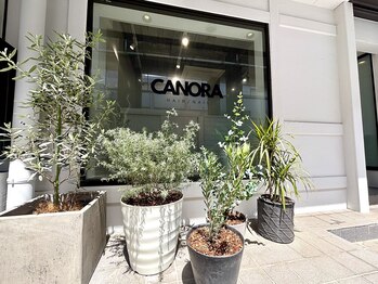 カノラ(CANORA)の写真/大人女性の髪質を活かす、マンツーマンの寄り添い施術で理想のスタイルへ導きます♪