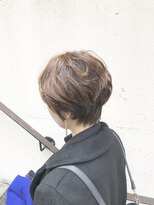 グルフーナ(Gullhona)&nbsp;shorthair