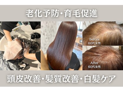 エル(ailes)の写真