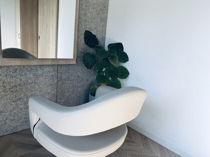 モッキ(mokki)の写真