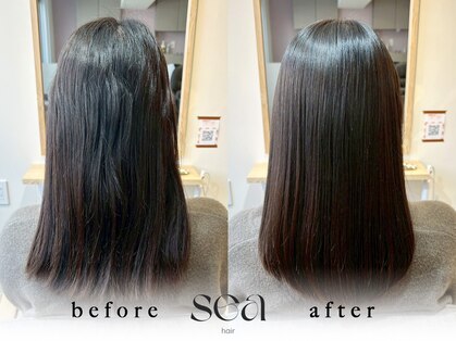 セア 新丸子 武蔵小杉(sea)の写真