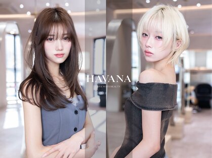 ハバナ 新宿(HAVANA)の写真