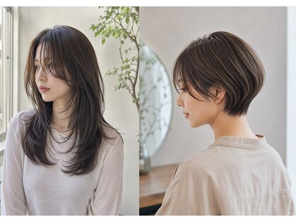 ノイ(noi)の写真