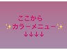★ここからカラークーポンとなります★↓↓↓
