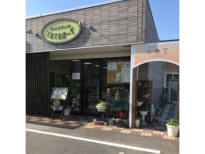 カットスタジオ てるてるぼーず