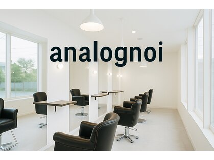 アナログノイ(analog noi)の写真