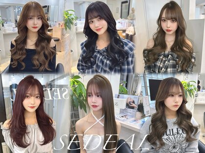 セディアル 心斎橋(SEDEAL)の写真