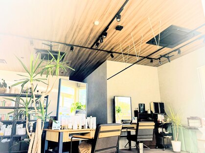 ヨーク(YOHC)の写真