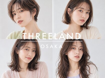 スリーランドメゾン 鶴見区横堤(THREELAND maison)の写真