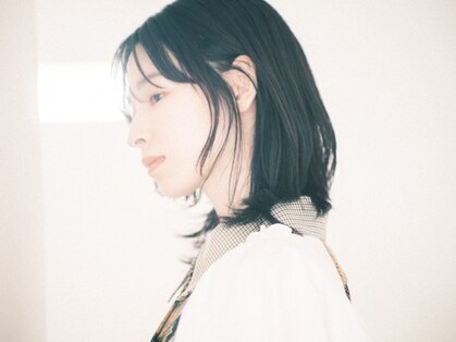 テルヴェ(Terve)の写真