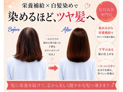 アミーベル クレール(AMI a BELLE Clair)の写真
