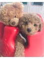 ネオヘアー 南森町(Neo hair)&nbsp;トイプードル飼始めました★