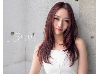 シェル(SHEL+L)の写真
