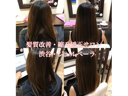 ジェルベーラ(Gerbera)の写真