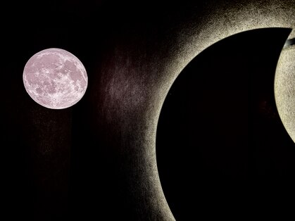 ハコ(HACO)の写真