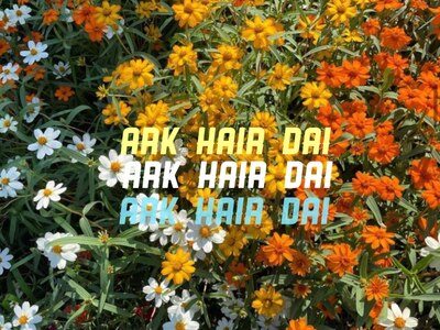 アークヘアーダイ(ARK HAIR DAI)