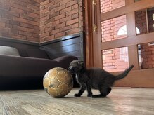 ロザリー(ROSARY)の雰囲気（Her name is “nuts”）